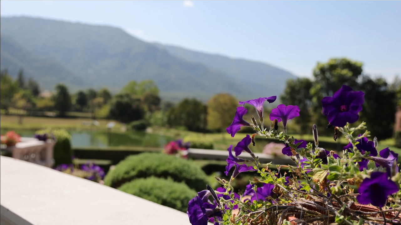 Suisse Garten